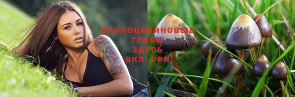 ешки Абинск
