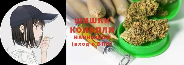 тгк Горнозаводск