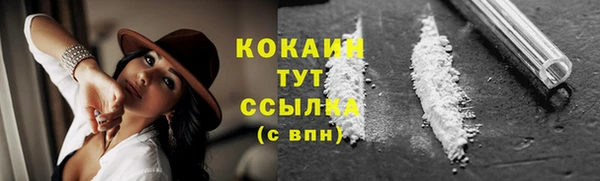 мяу мяу мука Горняк